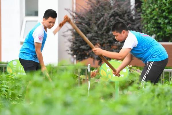 中国教育智库：盘点2020年十大教育新闻