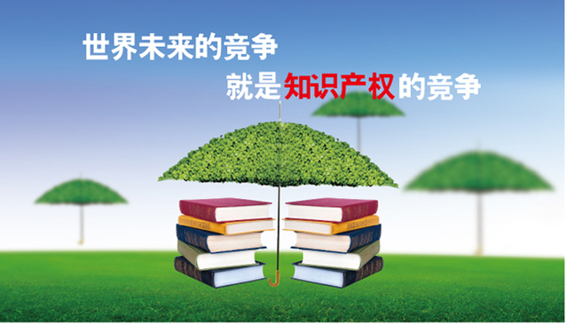 从专利保护到专利运营需要知道的知识