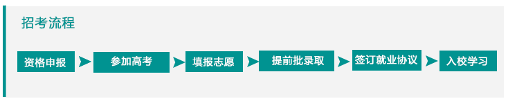 医学生报考流程