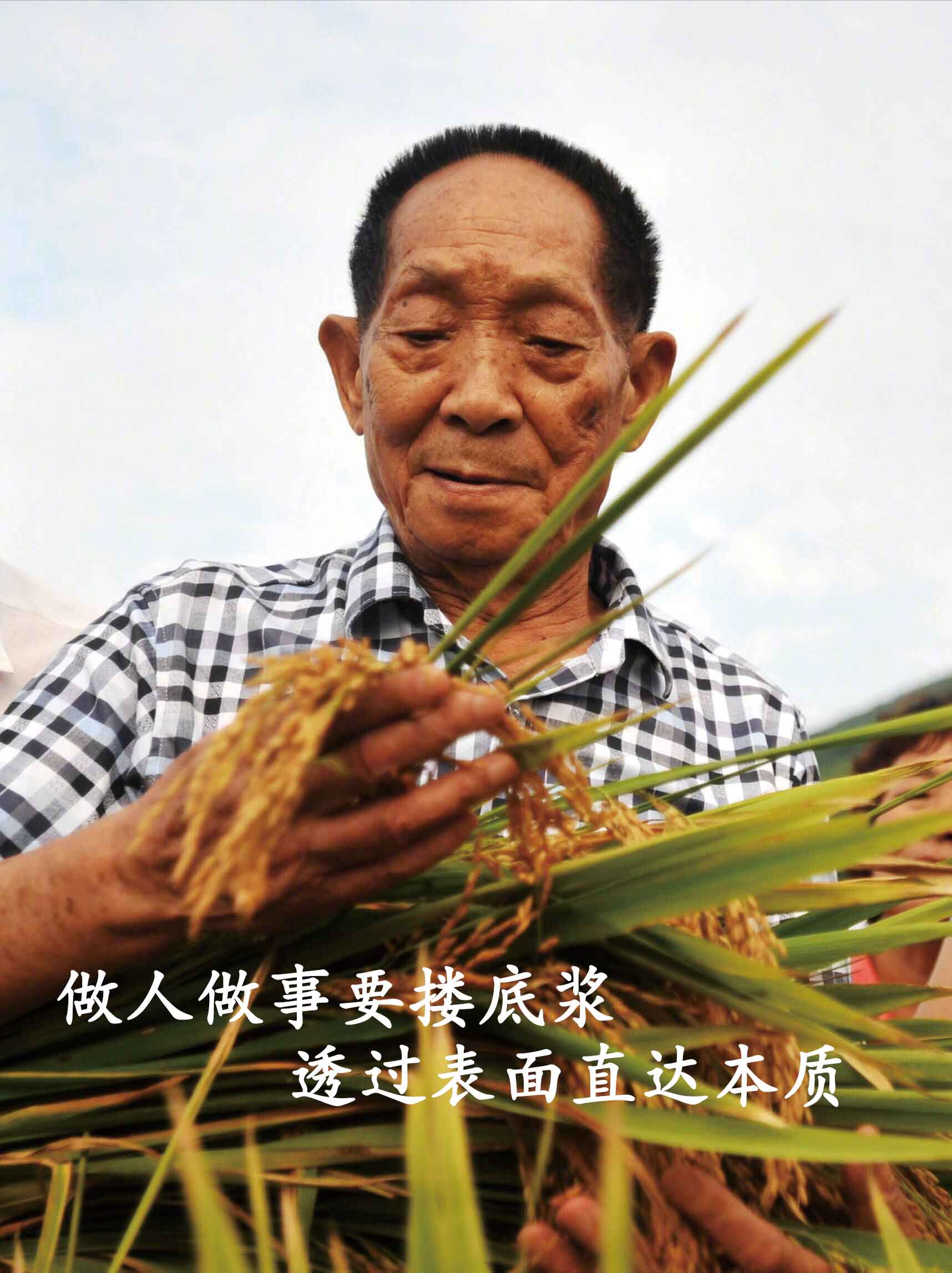 搂底浆的大学专业