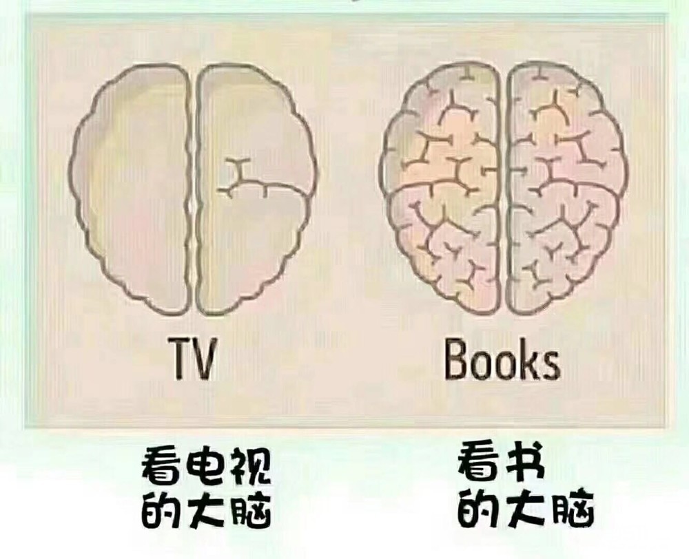 大脑活跃度对比